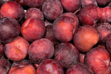 Olgun kırmızı erik yığını görüntüsü