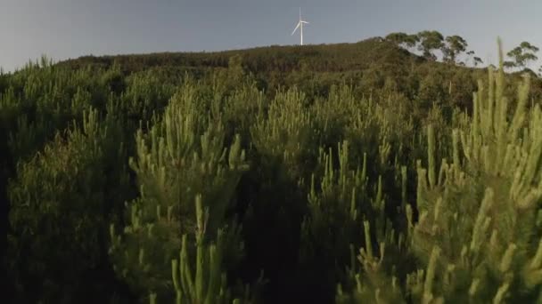 木々の上の緑の森を飛びます美しい自然景観と風力タービンドローンからの山の撮影 — ストック動画