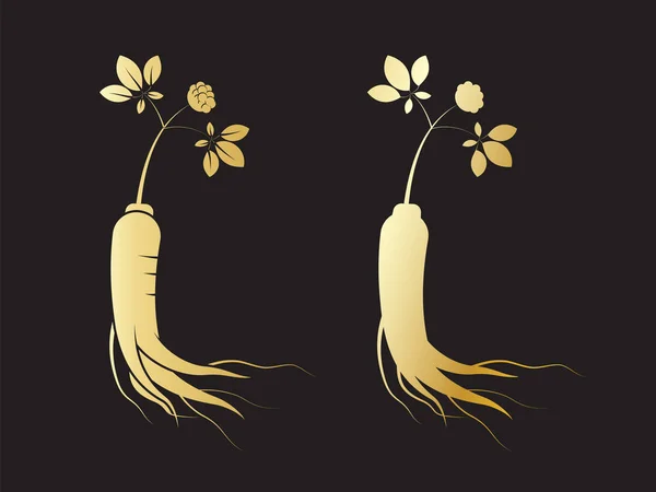 Red korean or chinese ginseng root illustration. — 스톡 벡터