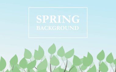 Baharda çalı ya da ağaç.