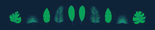 Set of tropical leafs like palm, monstera, banana. — 스톡 벡터
