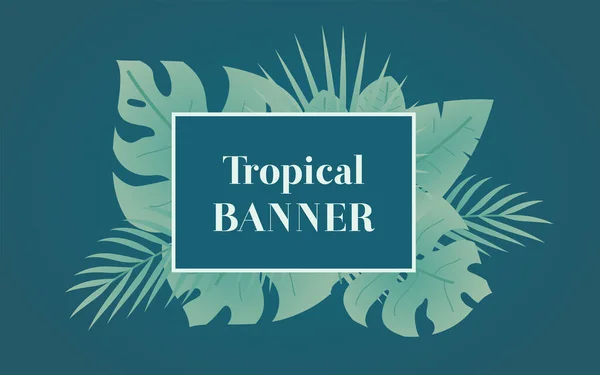 Banner tropical de verano con hojas de palma verde . — Vector de stock