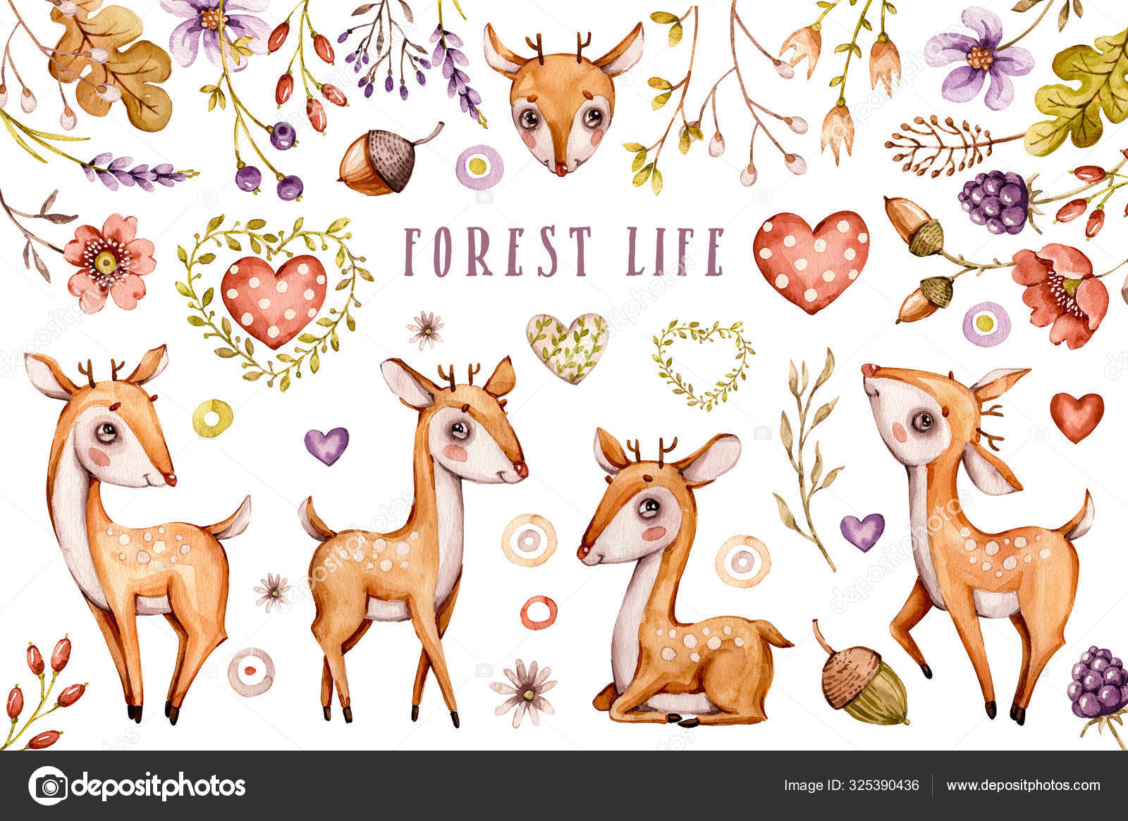 Cute baby deer, forest flowers, leaves. Nursery animal set. isolated illustrations for children. Stock Photo by © 325390436 Cute baby deer, forest flowers, leaves. Nursery animal set. isolated illustrations for children. Stock Photo by © 325390436