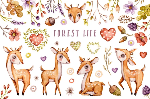 귀여운 새끼 사슴, 숲 속의 꽃, 나뭇잎. 아기방 동물 세트. 아이들을 위한 격리 된 예들. — 스톡 사진