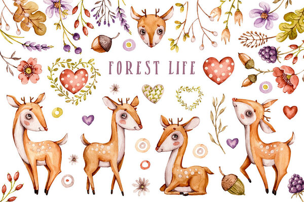 Cute baby deer, forest flowers, leaves. Nursery animal set. isolated illustrations for children.