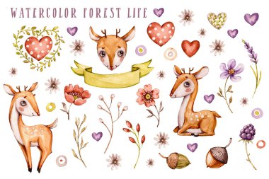 Sevimli bebek geyikler, orman çiçekleri, yapraklar. Çocuk odası hayvan seti. çocuklar için izole çizimler.