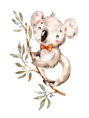 Cute baby Australian animal koala. Nursery watercolor handpainted kids boy girl illustration. boho clipart. hand drawn wildlife isolated