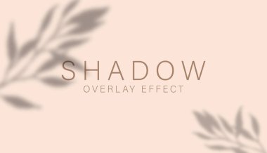 Shadow overlay effect. Transparent soft light and shadows from branches, plant, foliage and leaves. Mockup of transparent leaf shadow