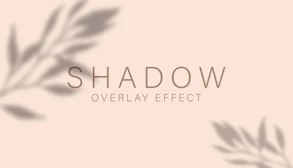 Shadow overlay effect. Transparent soft light and shadows from branches, plant, foliage and leaves. Mockup of transparent leaf shadow — Stok Vektör