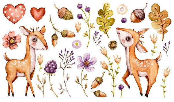 Roztomilý jelen. Lesní akvarel školky kreslené lesní zvěře jeleny, lesní květiny listy. Rozkošné školky — Stock fotografie