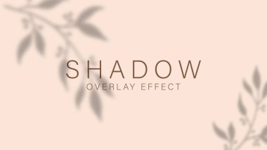 Shadow overlay effect. Transparent soft light and shadows from branches, plant, foliage and leaves. Mockup of transparent leaf shadow