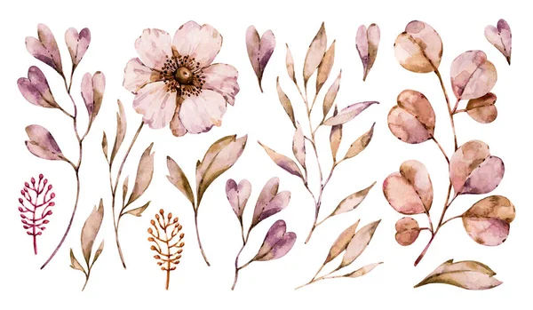 Blumen Anemone und Blätter handbemalt Set isoliert auf weißem Hintergrund. Vektorflorale Aquarellkollektion — Stockvektor