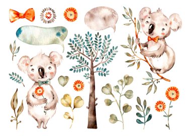 Tatlı bebek koala. Suluboya çocuk çizgi filmi Avustralya hayvanları, tropik ağaçlar, yapraklar..