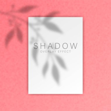 Shadow overlay effect. Transparent soft light and shadows from branches, plant, foliage and leaves. Mockup of transparent leaf shadow