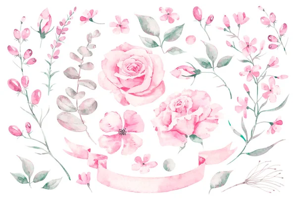 Serie elementi di acquerello vettoriali di rose, foglie. collezione giardino fiori rosa, foglie, rami, piante, illustrazione botanica — Vettoriale Stock