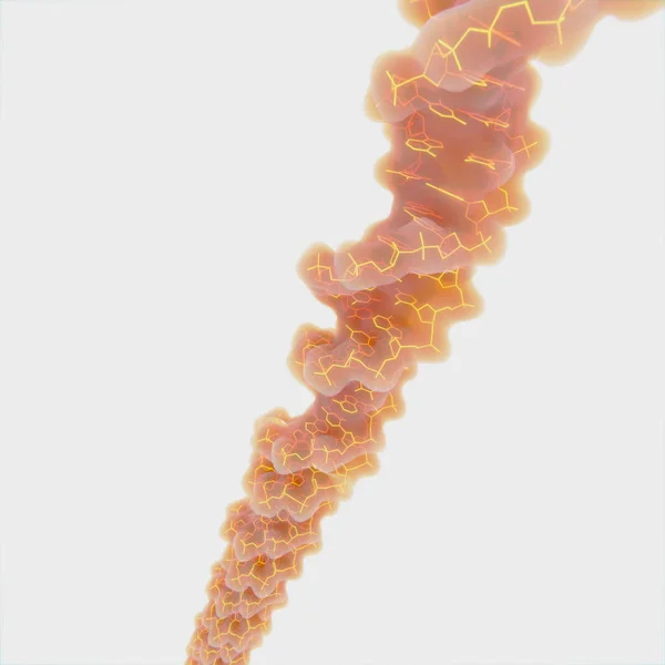 DNA molecule — Stock Photo, Image