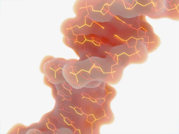 La estructura de doble hélice del ADN — Foto de Stock