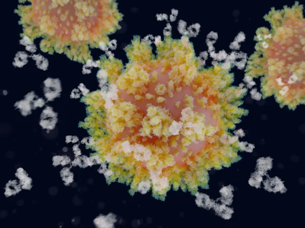 Wiązanie Przeciwciał Białkiem Kolczastym Wirusa Sars Cov Jest Niezbędnym Krokiem — Zdjęcie stockowe