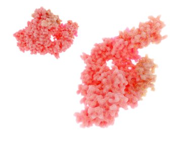 SARS-CoV-2 RNA bağımlı RNA polimeraz COVID-19 tedavisi için umut verici bir hedeftir. RdRp bir RNA şablonundan RNA 'nın kopyalanmasını hızlandıran bir enzimdir. PDB girdisi 7BTF