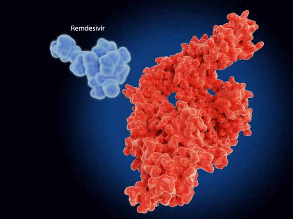 Nucleotide Analog Remdesivir Blocks Sars Cov Rna Dependent Rna Polymerase — Stock Photo, Image