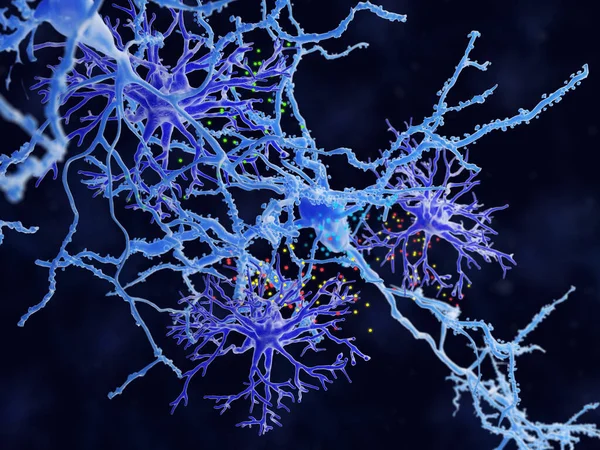 タンパク質の星細胞やニューロンは化学シグナルを介して伝達される 星細胞は記憶や学習において活発な役割を果たしています — ストック写真