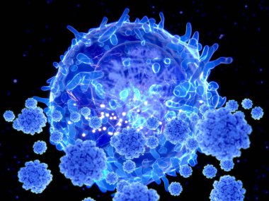 T hücresi SARS-CoV-2 virüslerini hedef alıyor. T hücreleri uzun vadeli bağışıklık gelişiminde kilit rol oynar. Koronavirüse