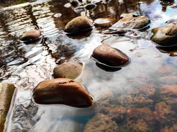 Pebble beach background, stone floor. Abstract nature pebbles ba — ストック写真