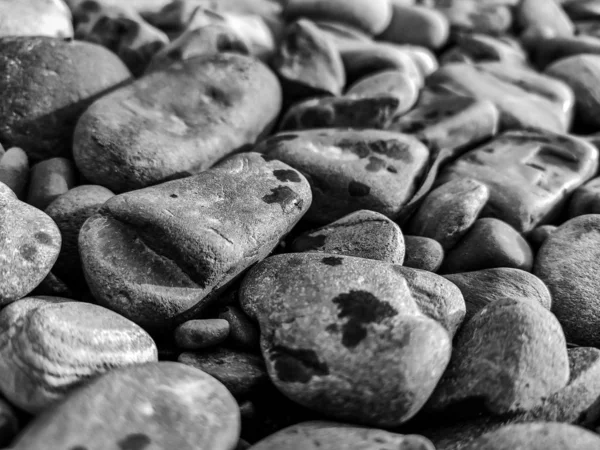 Pebble beach background, stone floor. Abstract nature pebbles ba — ストック写真