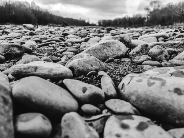 Pebble beach background, stone floor. Abstract nature pebbles ba — ストック写真