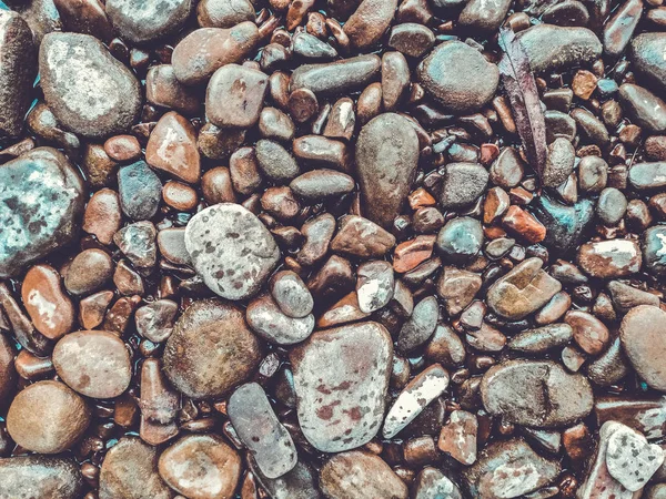 Çakıl taşı plajı arka planı, taş zemin. Soyut doğa çakıl taşları ba — Stok fotoğraf
