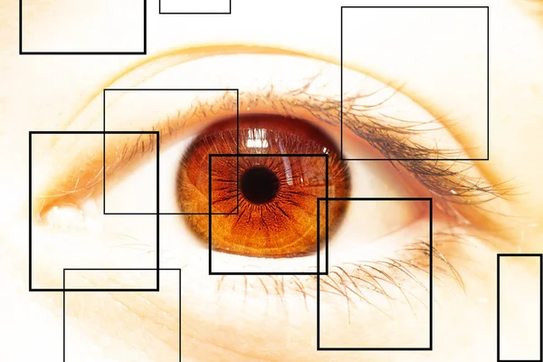 Beautiful human eye close-up. Flash in the eyes. The illuminated — Stock Photo, Image