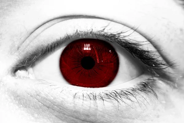Hermoso ojo humano de cerca. Un destello en los ojos. El iluminado — Foto de Stock