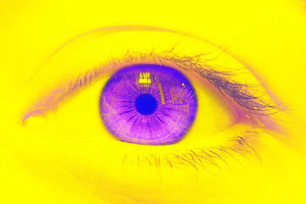 Beautiful human eye close-up. Flash in the eyes. The illuminated — Stock Photo, Image
