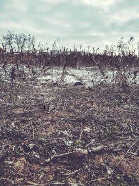 Ukrayna 'da sıcak kış. Kurumuş yabani otlar ve kır arazileri.