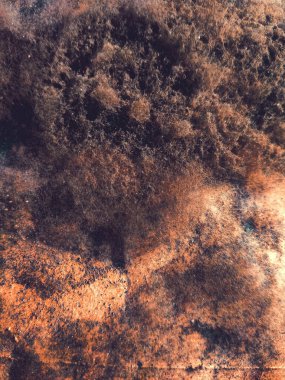 Yüzeydeki küf ve mantarlar yakın çekim, seçici odaklanma