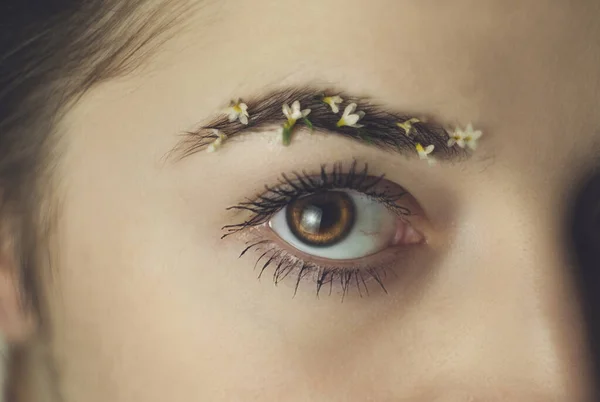 Piękne Spojrzenie Kobiecego Oka Dziewczyna Brwi Jest Ozdobiona Małymi Kwiatkami — Zdjęcie stockowe