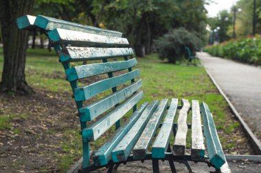 yumuşak odak arka ahşap bank doğa manzarası güzel açık hava parkı insanlar olmadan sakin bir yer