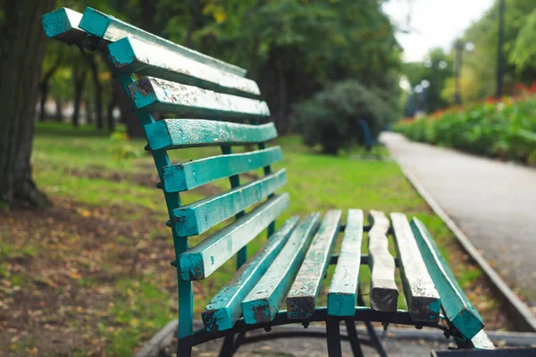 yumuşak odak arka ahşap bank doğa manzarası güzel açık hava parkı insanlar olmadan sakin bir yer