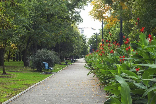 Parque Vacío Sin Gente Durante Cuarentena Primavera 2020 Más Difícil —  Fotos de Stock