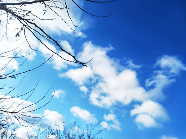 雲と青空の背景 雲のある空 — ストック写真