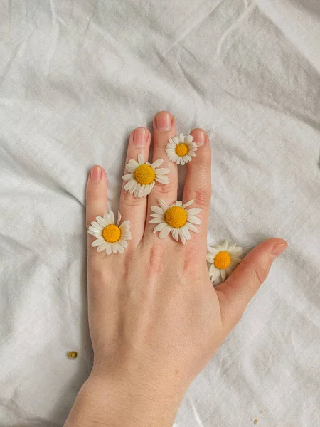 白い背景に美しいデイジーの花を持つ女の子の手 — ストック写真