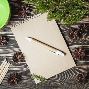 sevimli Noel dekorasyonu, koniler, köknar ortasına defter