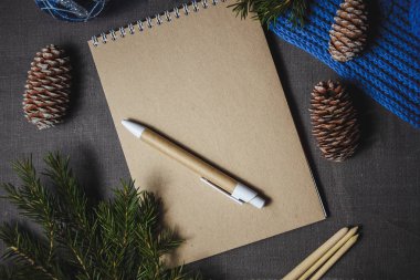 sevimli Noel dekorasyonu, koni ortasına defter