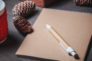 sevimli Noel dekorasyonu, koni ortasına defter