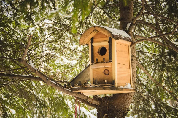 Häckande box hänger på trädet — Stockfoto