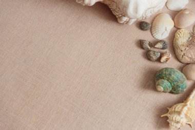 Deniz kabuklarını boşaltmak ahşap zemin üzerine