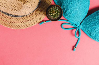 Pembe bir arka plan üzerinde mayo, şapka, kaktüs. Üstten Görünüm seyahat kavramı ile boşaltmak.