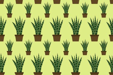 Sansevieria 'nın saksılarının benzersiz desenleri. Düz dizayn. Vektör illüstrasyonu.