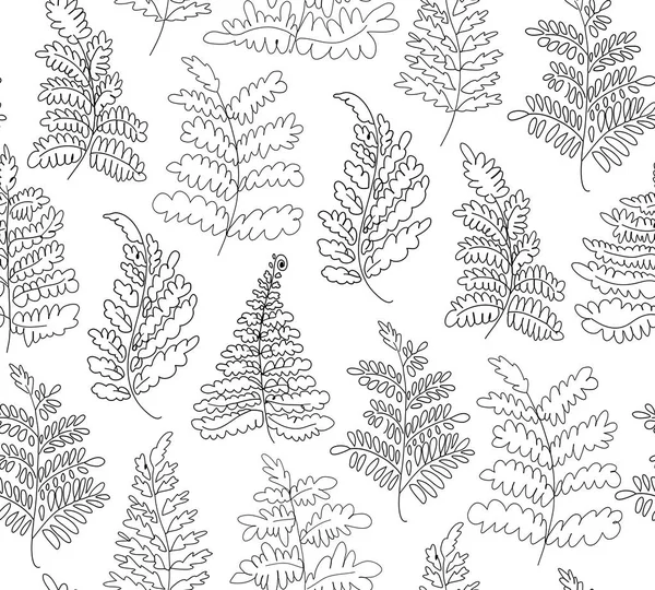 Patrón Helechos Vector Floral Textura Botánica Dibujada Mano Fondo Lineal — Vector de stock