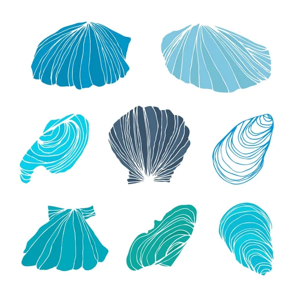 Marine pattern with seashells — Stock Vector